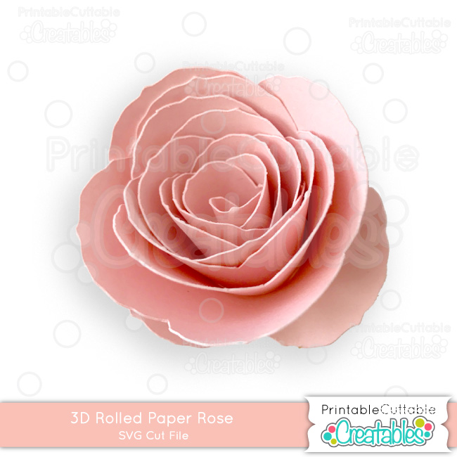 Featured image of post 3D Rose Svg