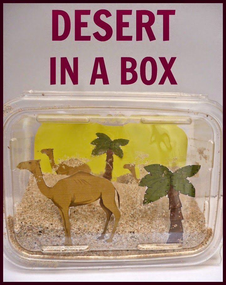 images Desert Craft For Kindergarten