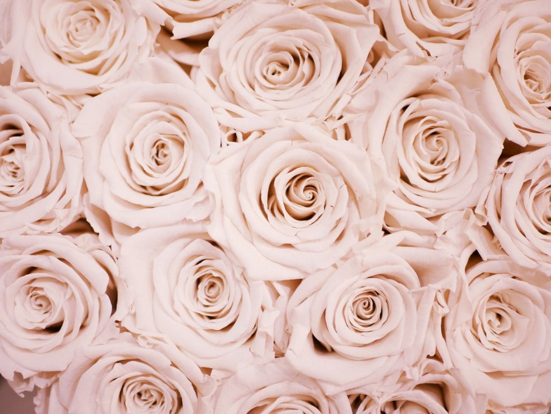 Featured image of post Rose Gold Aesthetic Rose Gold Wallpapers For Chromebook