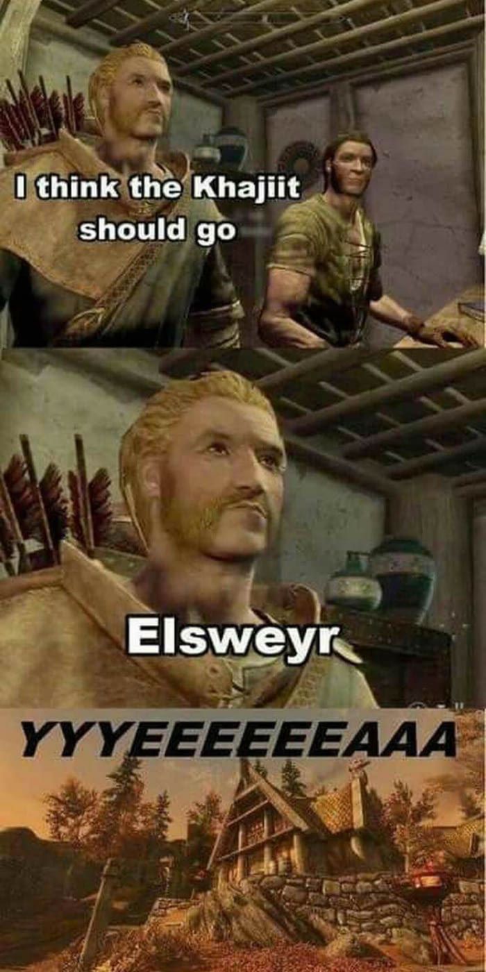 pics Skyrim Jokes And Puns