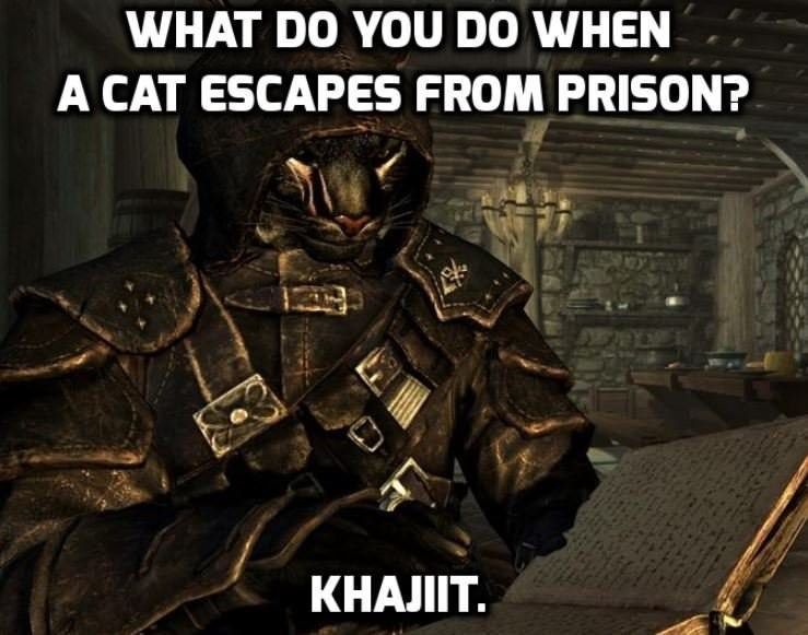 pic Skyrim Jokes And Puns