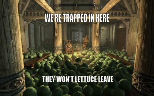 pics Skyrim Puns