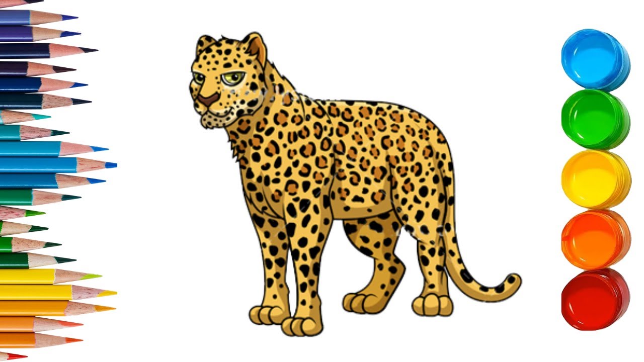 wallpapers What Color Is A Leopard Animal